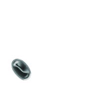 256