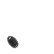 256