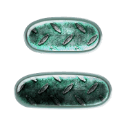 102