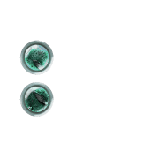 244