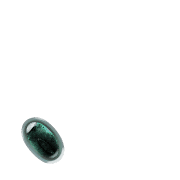 256