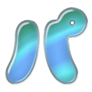 156