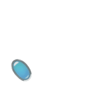 256