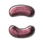 010