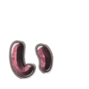 048