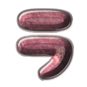 119