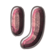 120