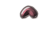 231