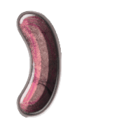 235