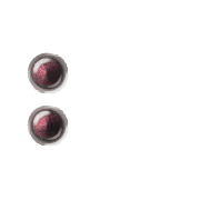244