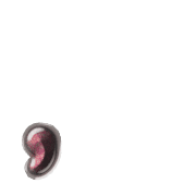 245