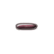 251