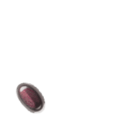 256