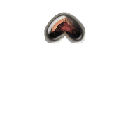 231