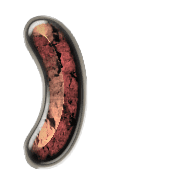 235
