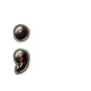 243
