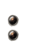 244