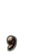 245