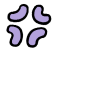 040