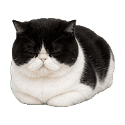 007