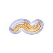 224
