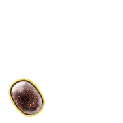256