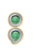 243