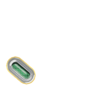 256