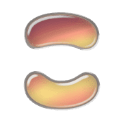 010