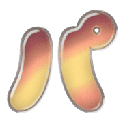 156