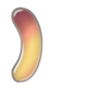 235