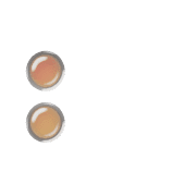 244