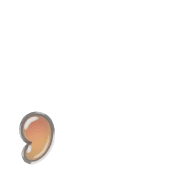 245