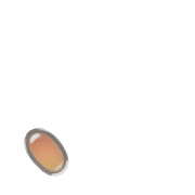256