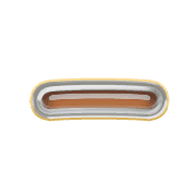 161