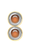 244
