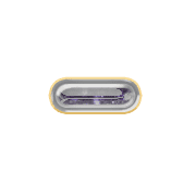 251