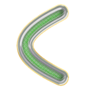 008