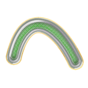 029