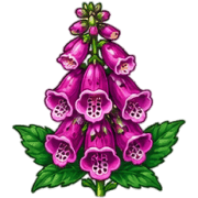 018