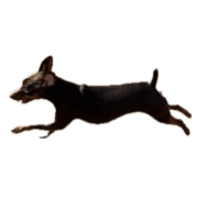 030