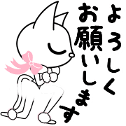 019