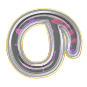 025