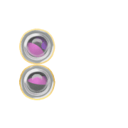 244