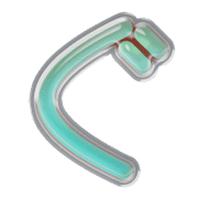 058