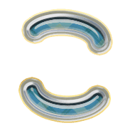 010