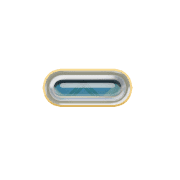251