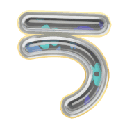 003