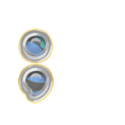 243