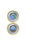 244
